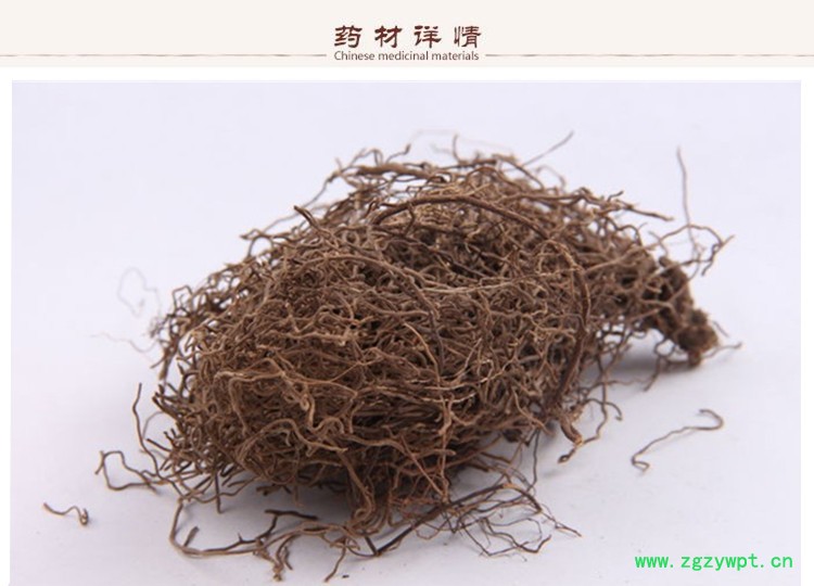 红毛七2.jpg