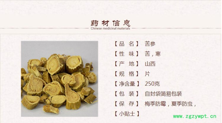 苦参1.jpg
