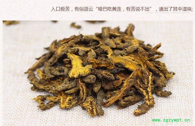 新黄连3.jpg