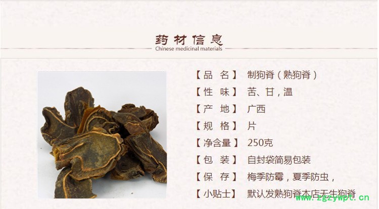 制狗脊1.jpg
