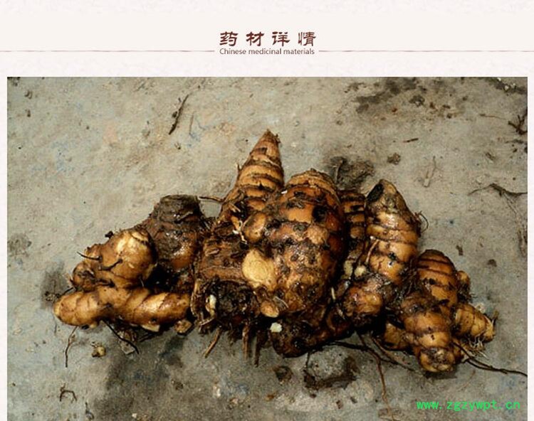莪术2.jpg
