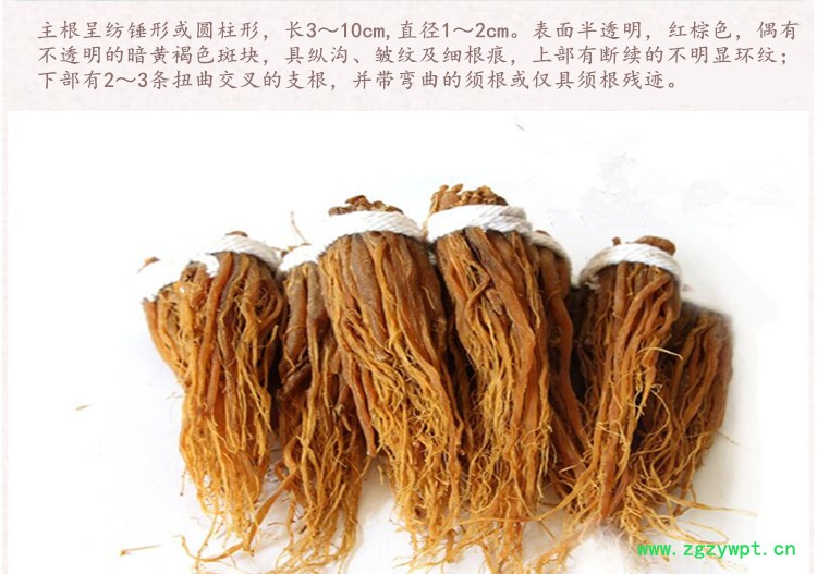 红参4_副本.jpg