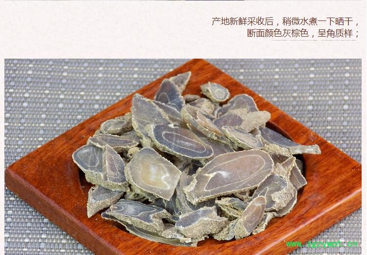 郁金4.jpg