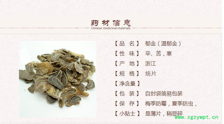 郁金1_副本.jpg