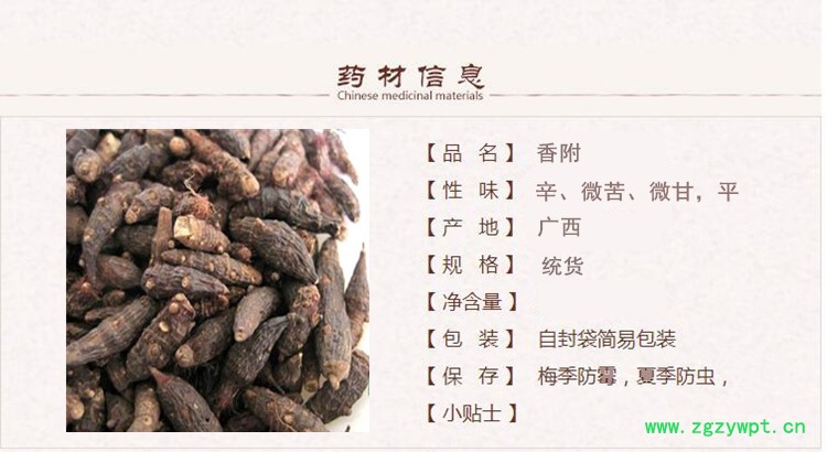 香附1.jpg