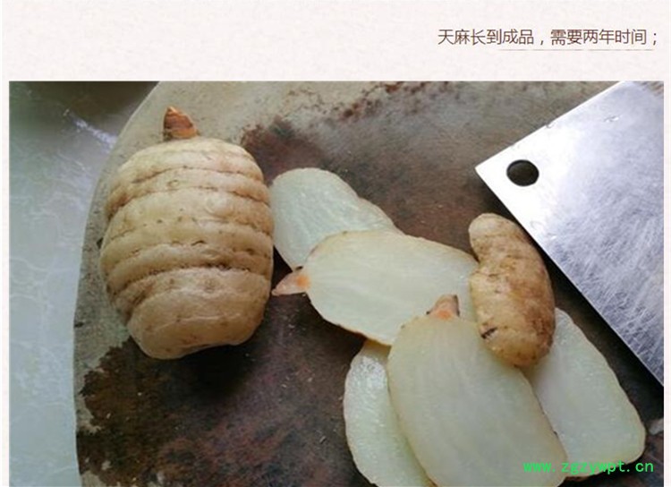 野生天麻片3.jpg