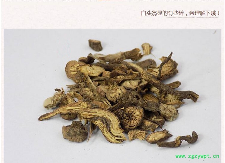 白头翁4.jpg