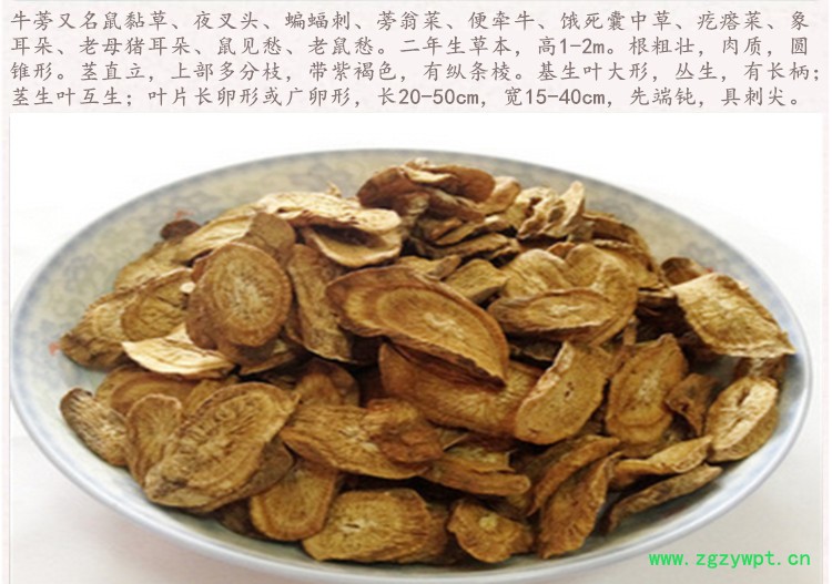 牛蒡根4.jpg