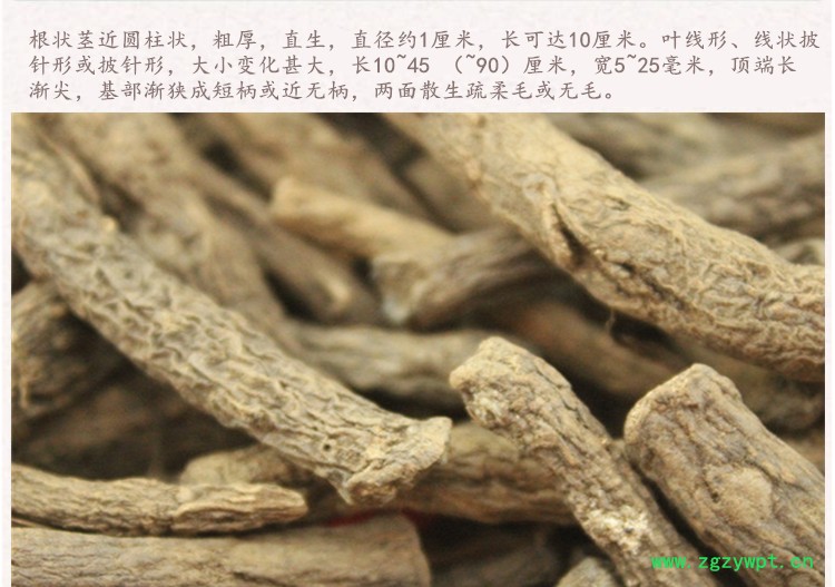 仙茅4.jpg
