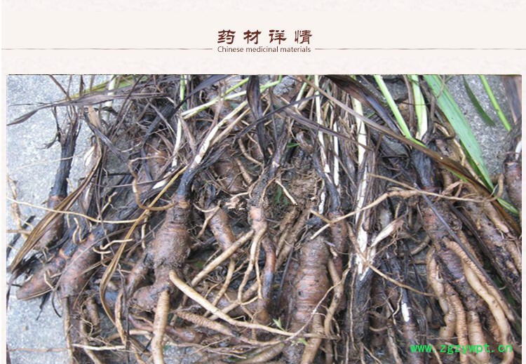 仙茅2.jpg