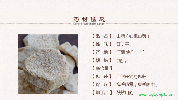 山药1_副本.jpg