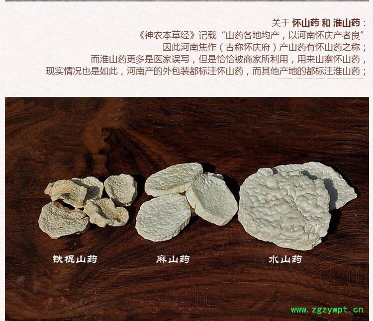 山药5.jpg