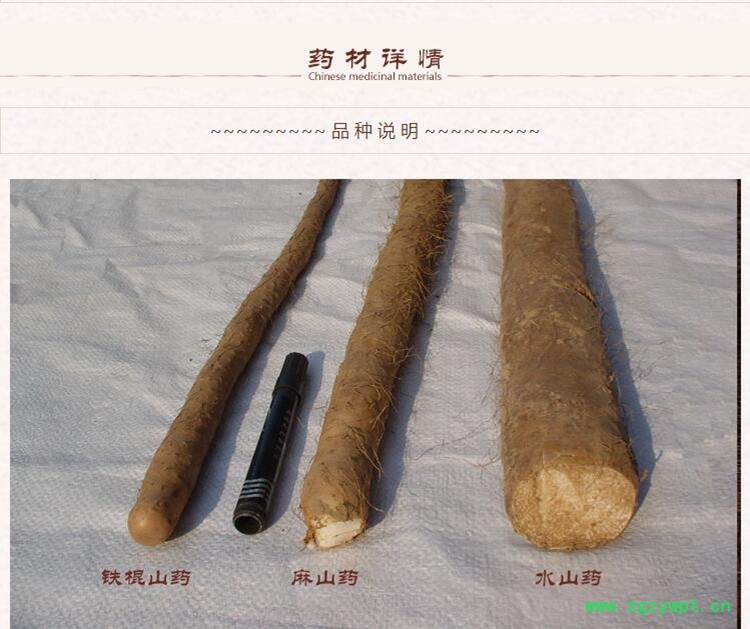 山药3.jpg