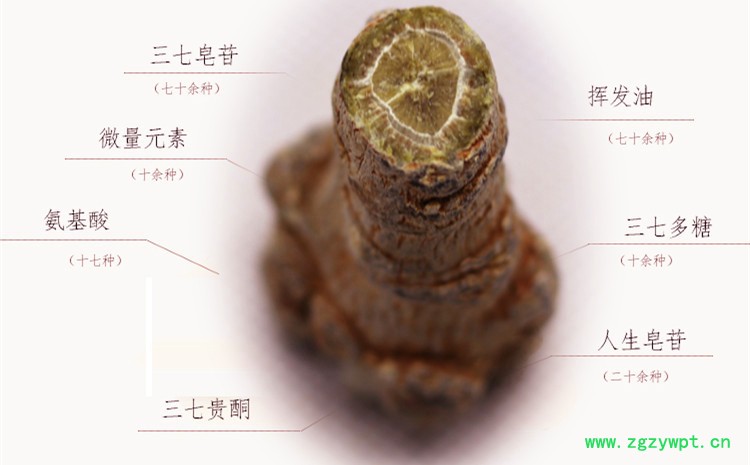 详情首图.jpg