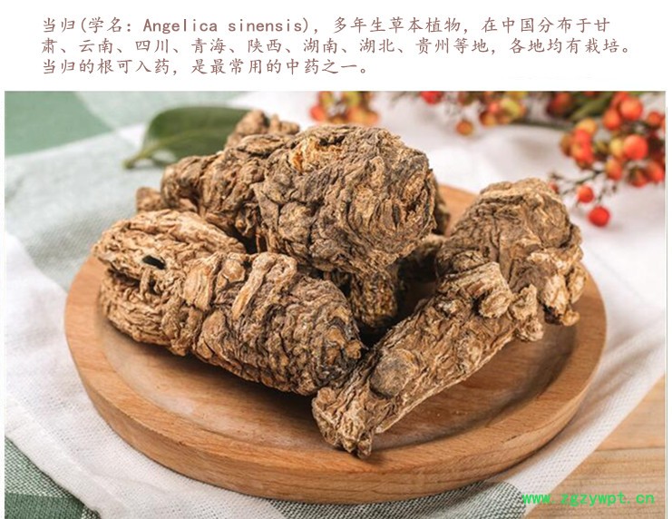 当归头20头5.jpg