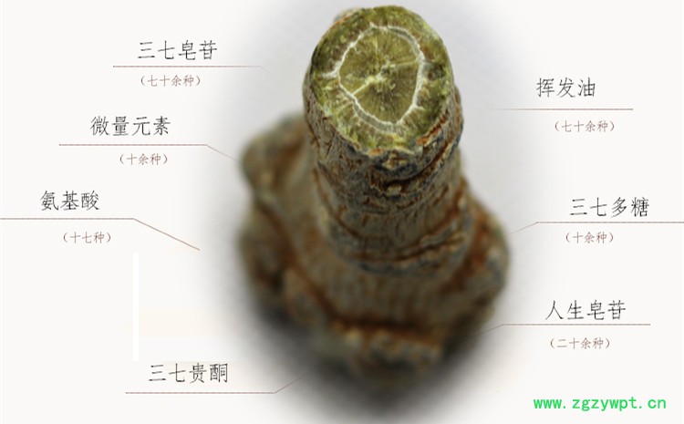 20头2.jpg