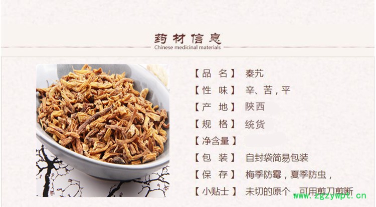 秦艽片1.jpg