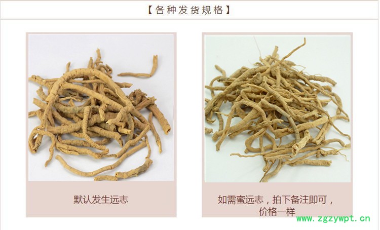 远志2.jpg