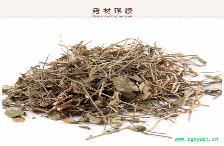 远志3.jpg