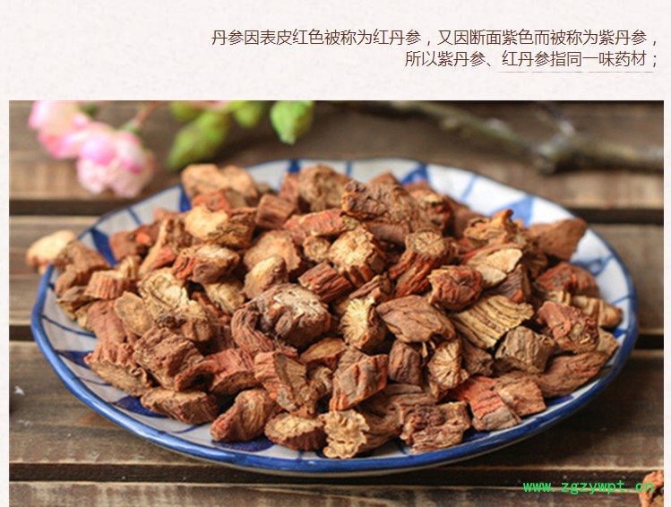 紫丹参选片.jpg