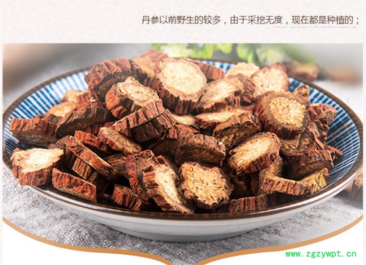 紫丹参选片3.jpg