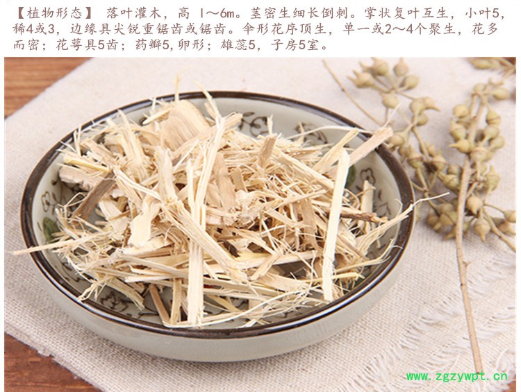 刺五加4.jpg