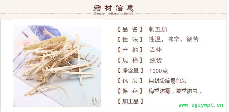 刺五加1.jpg