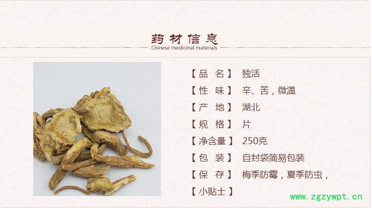独活1.jpg