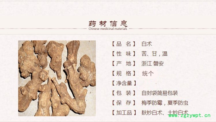 统个白术1.jpg