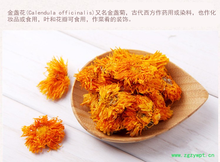 选金盏菊3.jpg