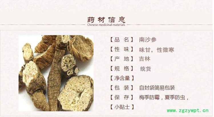 南沙参1.jpg