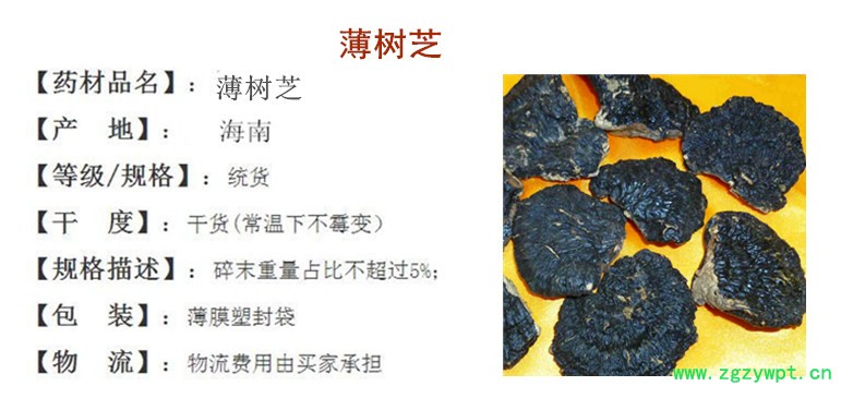 薄树芝_.jpg