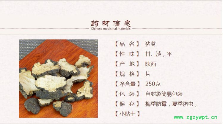 猪苓1.jpg