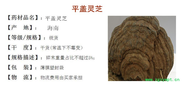 新平盖灵芝.jpg