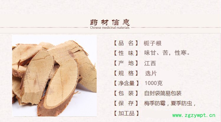 根栀子1.jpg