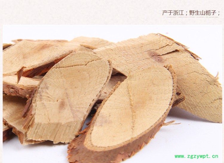 根栀子4.jpg