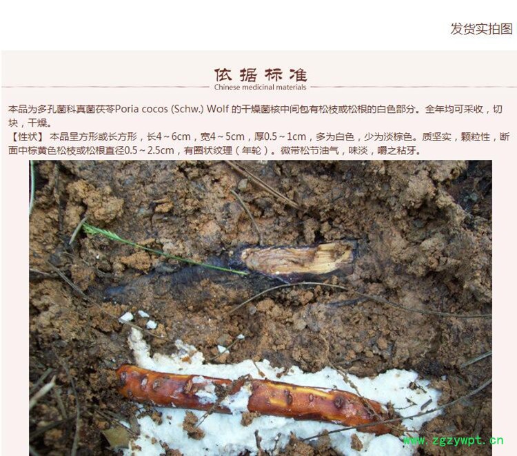 选片茯神4.jpg
