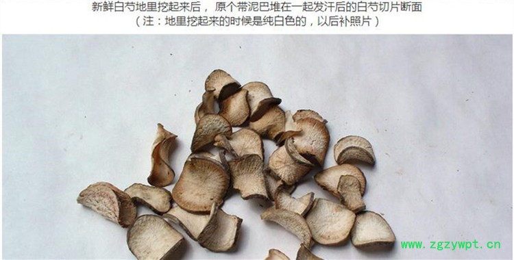 白芍鲜片5.jpg
