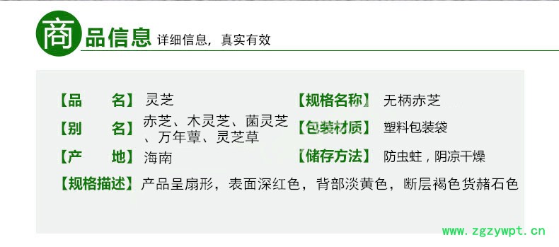E697A0E69F84E8B5A4E88A9D322E6A7067.jpg