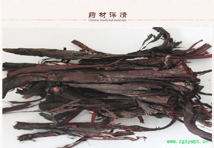 新疆紫草2.jpg
