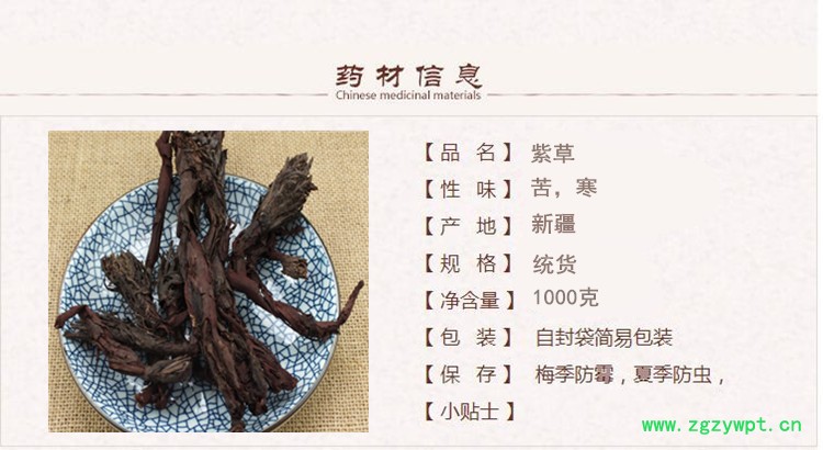 新疆紫草1.jpg