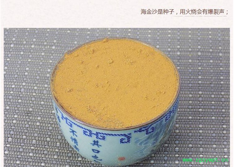 海金沙3.jpg
