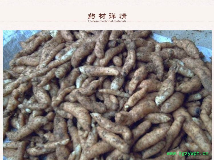 天麻统货2.jpg