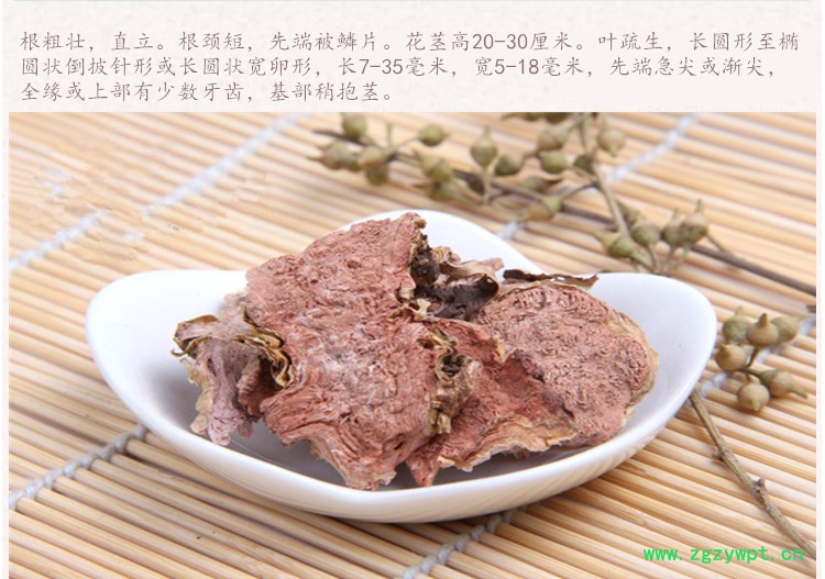 红景天选货4.jpg