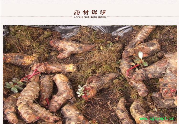 红景天选货2.jpg