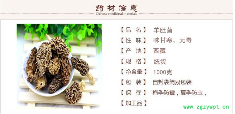 羊肚菌1.jpg