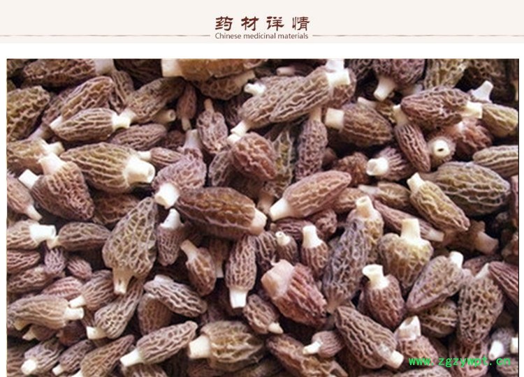 羊肚菌2.jpg