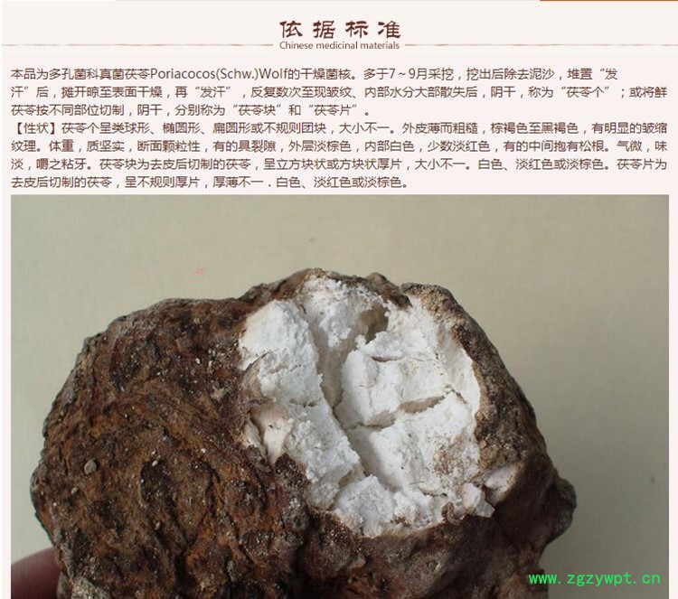 赤新茯苓6.jpg
