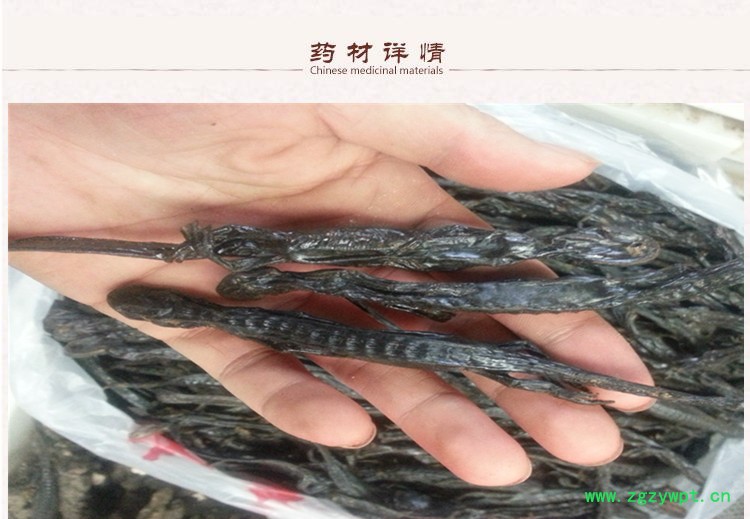 羌活鱼2.jpg