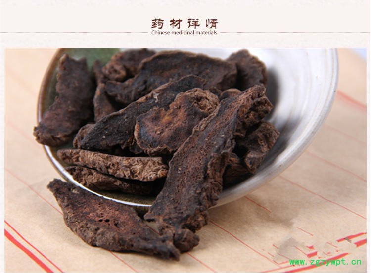 生地黄3.jpg